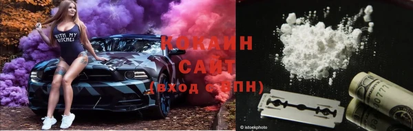 гидра Бронницы