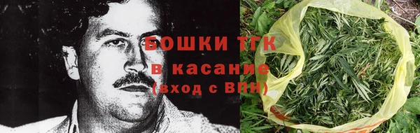 гидра Бронницы