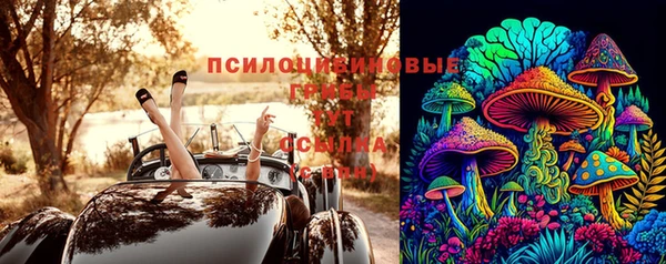 гидра Бронницы
