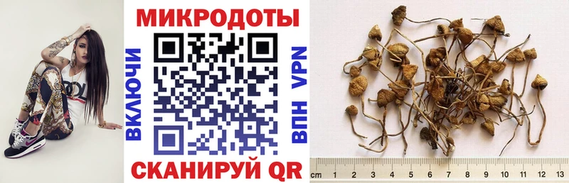 Псилоцибиновые грибы GOLDEN TEACHER  ссылка на мегу рабочий сайт  Камышин 